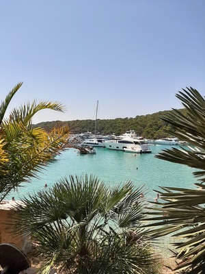 Palmizana