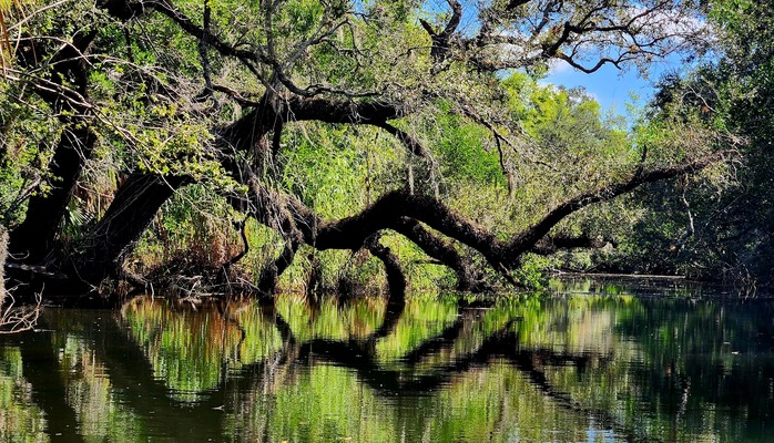 Koreshan State Park