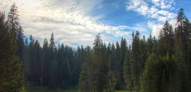 Montecito Sequoia Lodge & Summer Family Camp