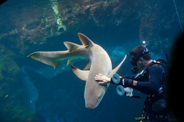 Aquarium de Lyon