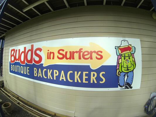 Budds in Surfers