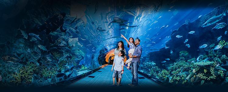 Dubai Aquarium & Underwater Zoo