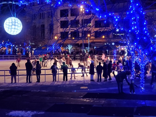 Rosa Park Circle