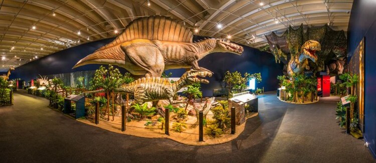 Queensland Museum Kurilpa