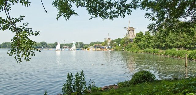 Kralingse Bos