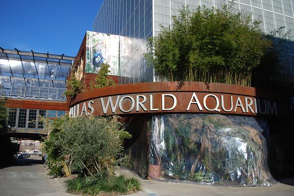 The Dallas World Aquarium