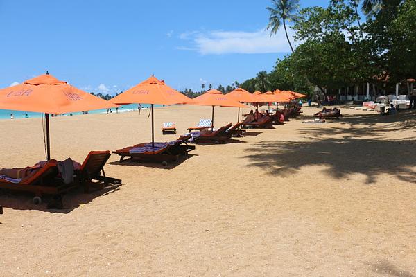 Calamander Unawatuna Beach