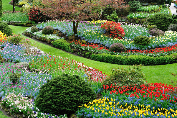 The Butchart Gardens