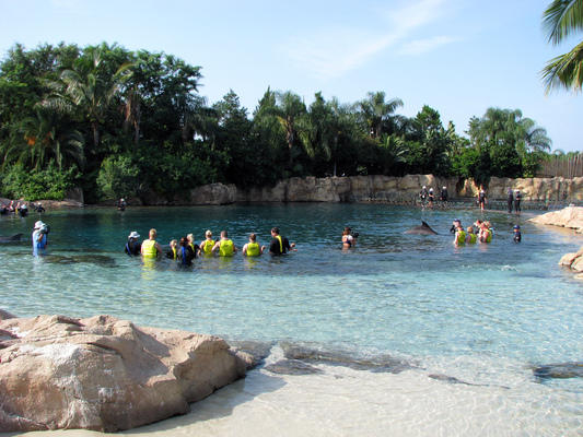 Discovery Cove