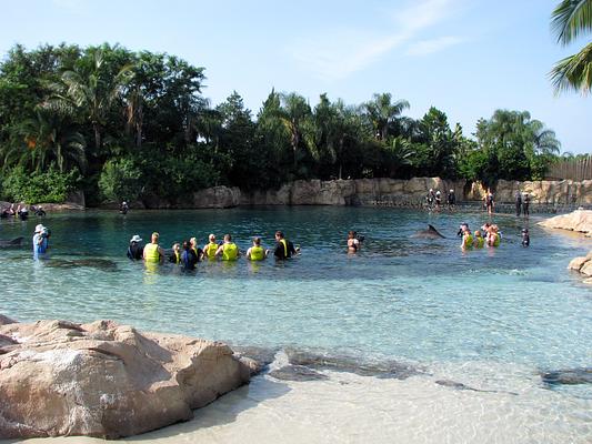 Discovery Cove