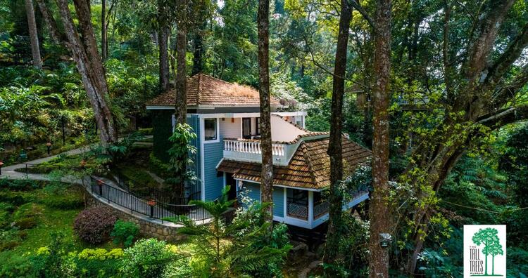The Tall Trees Munnar