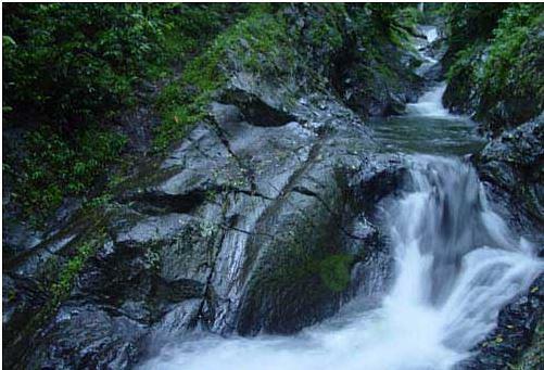 Waitavala Natural Rock Waterslide