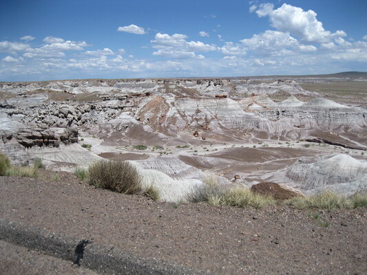 Petrified Forest National Park