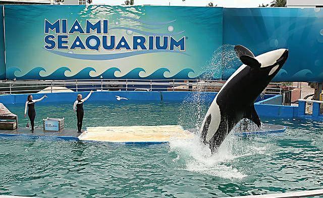 Miami Seaquarium