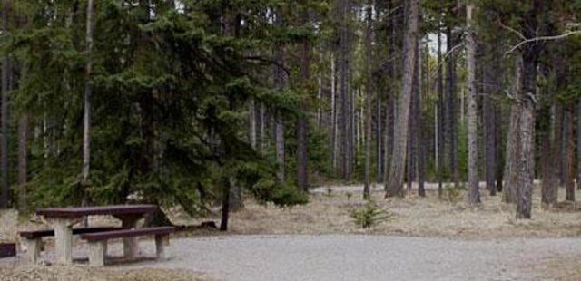 Tunnel Mountain Village 1 Campground