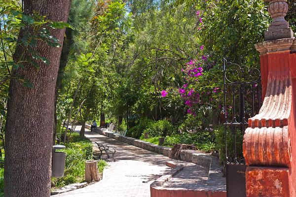 Parque Benito Juárez