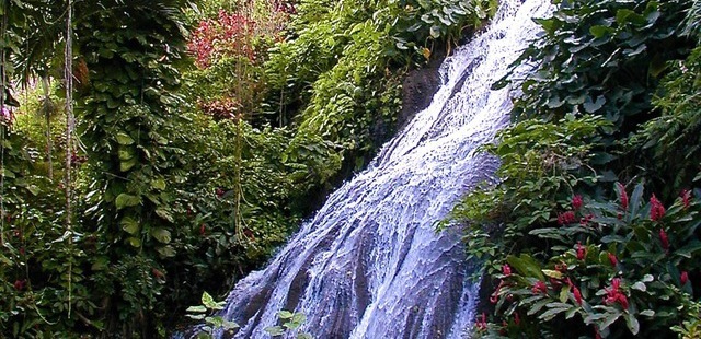 Shaw Park Gardens & Waterfalls