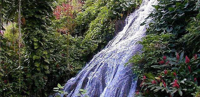 Shaw Park Gardens & Waterfalls