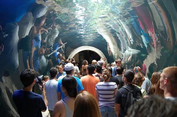 The Dallas World Aquarium