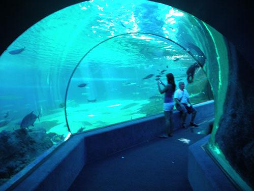 Maui Ocean Center, The Aquarium of Hawaii