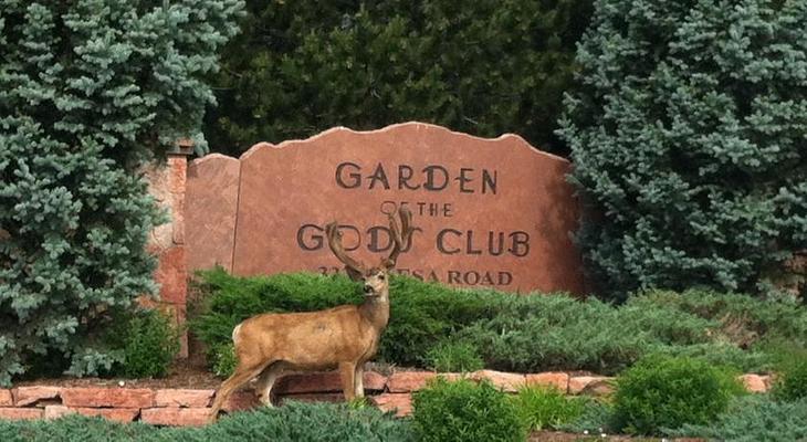 Garden of the Gods Resort and Club