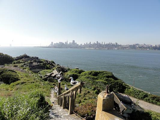 Alcatraz Island