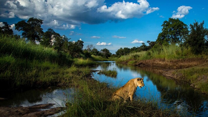 Four Seasons Safari Lodge Serengeti