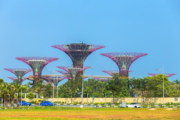 Gardens by the Bay