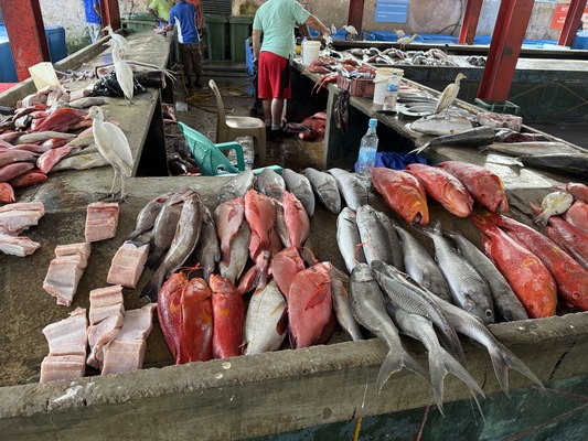 Sir Selwyn Selwin  Clarke Market