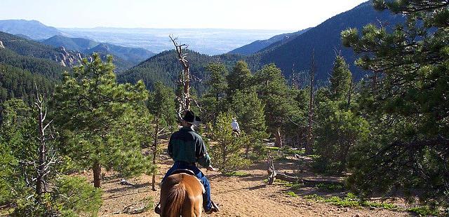 Old Stage Riding Stables