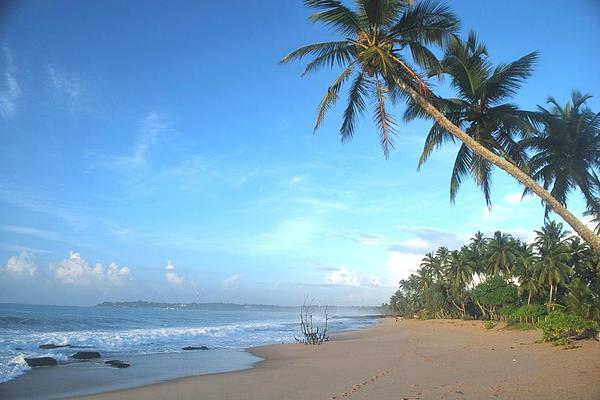 Serein Beach Hotel