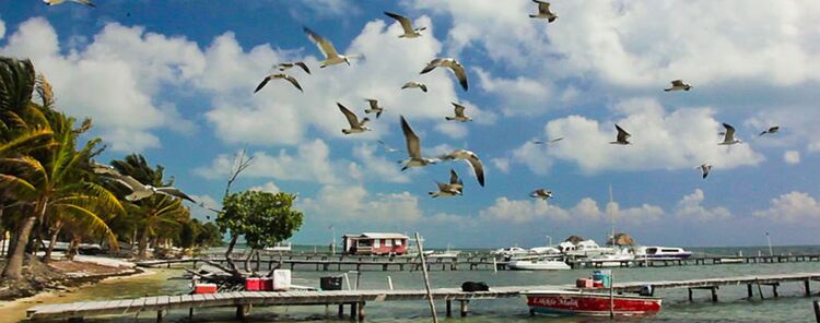 Caye Caulker