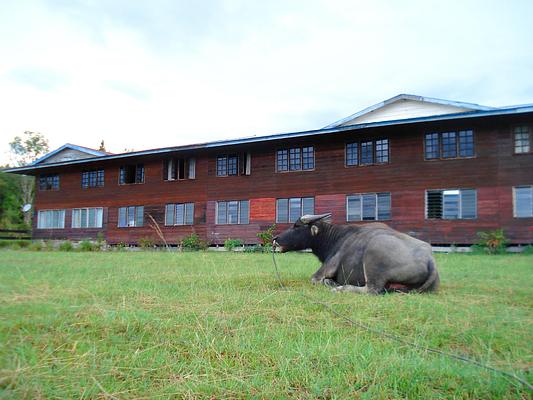 Labang Longhouse Lodge