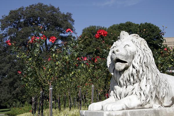 Royal Botanic Garden Sydney