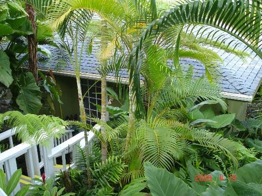 1st Class Vacation Rental Kona Hawaii