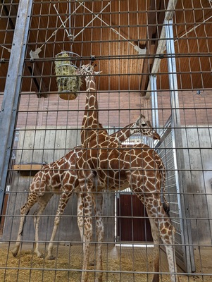 Wilhelma Zoologisch-Botanischer Garten