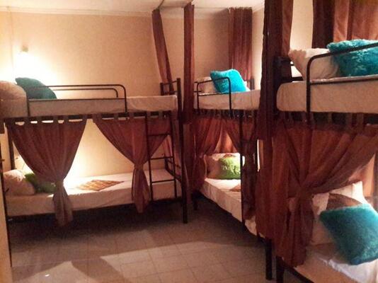 Laura's Backpackers 523