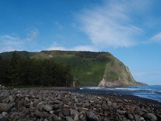 Waipio Wayside B&B