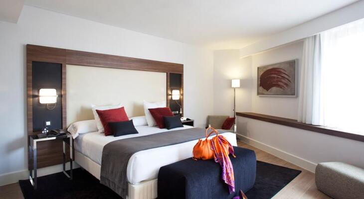 Hotel Princesa Plaza Madrid