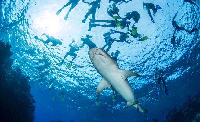 Barefoot Kuata Island