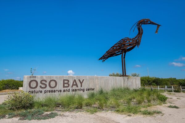 Oso Bay Wetlands Preserve & Learning Center