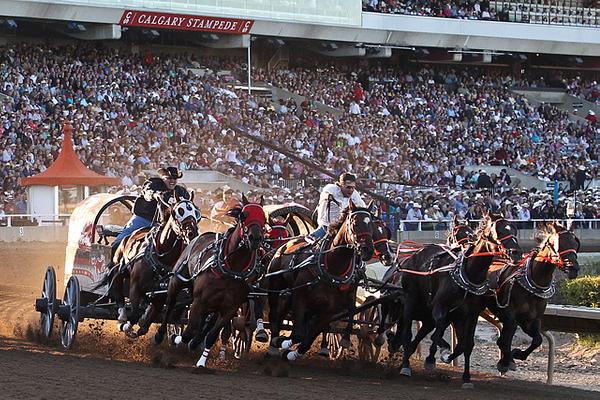 Calgary Stampede