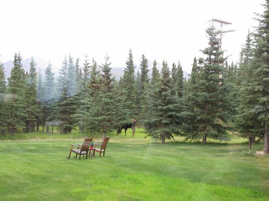 Denali Dome Home Bed And Breakfast