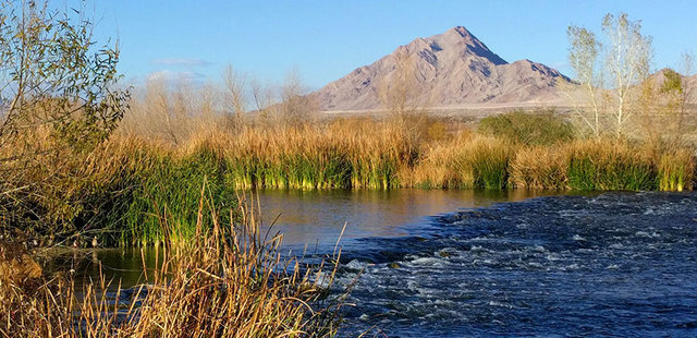 Clark County Wetlands Park
