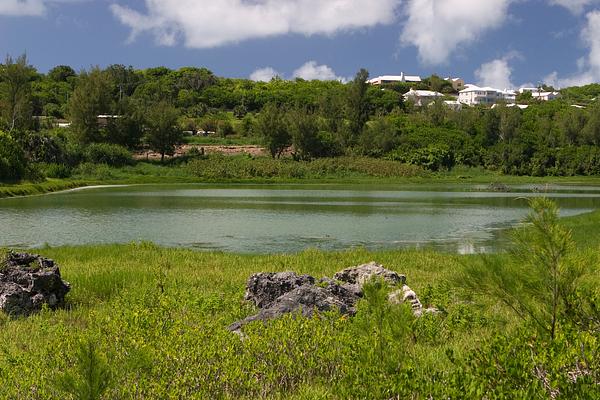 Spittal Pond Nature Reserve