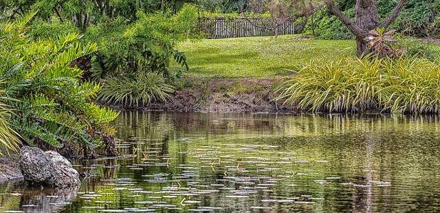 Mounts Botanical Garden