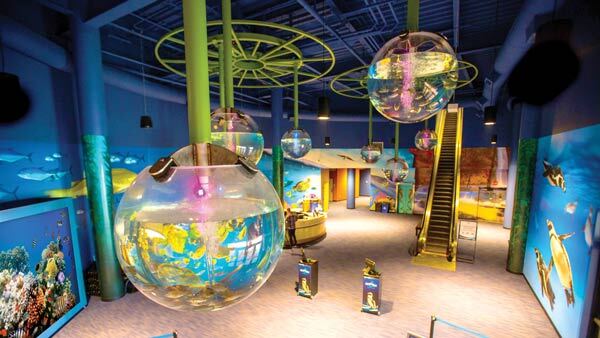 OdySea Aquarium