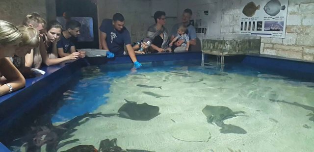 Aquarium Pula