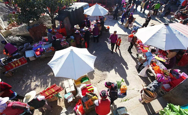 Shaping Market