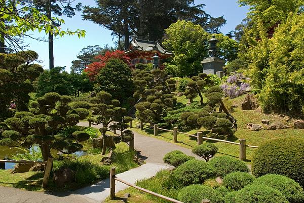 Japanese Tea Garden